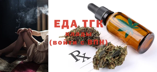индика Абинск