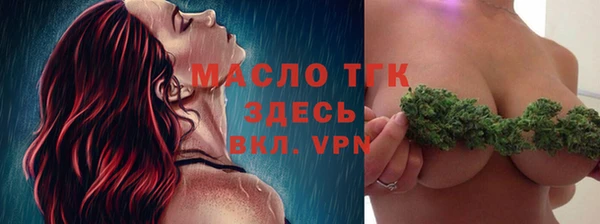 индика Абинск