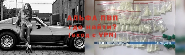 индика Абинск