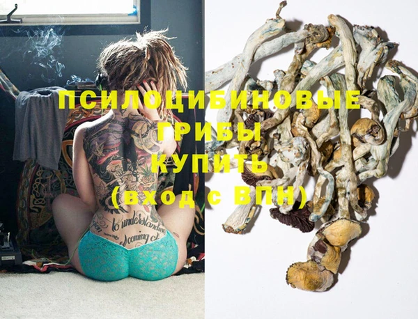 индика Абинск