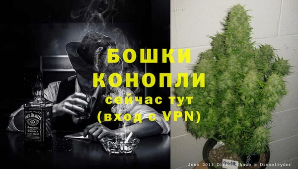 прущий лед Абаза