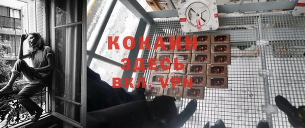 индика Абинск