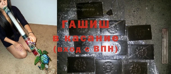 индика Абинск