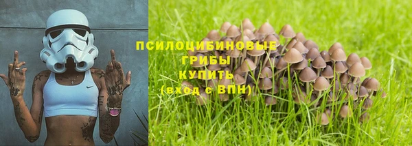 прущий лед Абаза