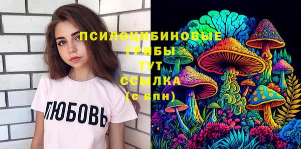 индика Абинск