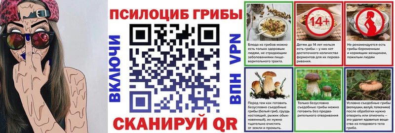 закладка  Дубовка  ОМГ ОМГ ТОР  Галлюциногенные грибы Cubensis 