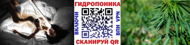 Бошки Шишки тримм  ОМГ ОМГ вход  Дубовка  сколько стоит 